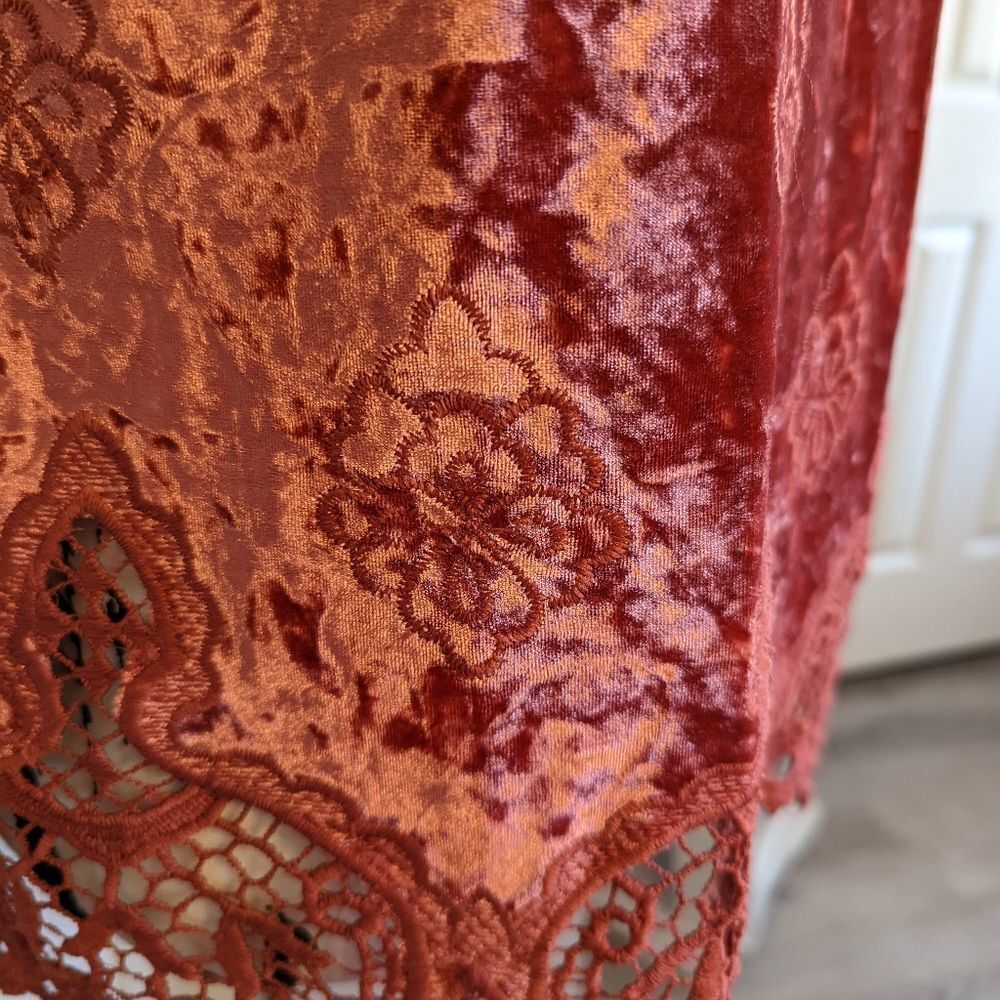 Altard State velvet top - Picture 2 of 6